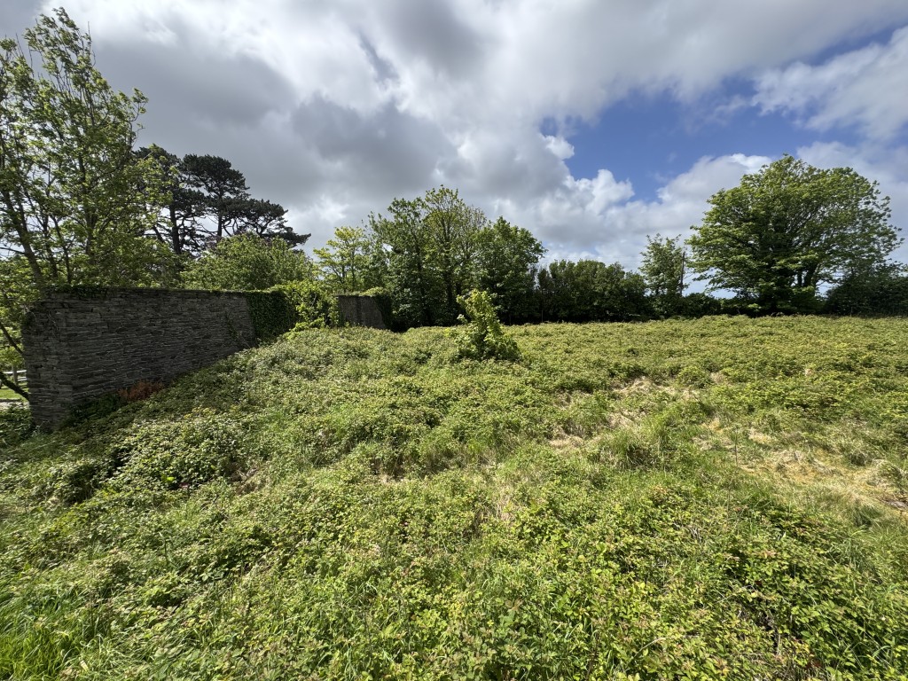 Lot: 53 - LAND WITH PLANNING - View of the left side of the land